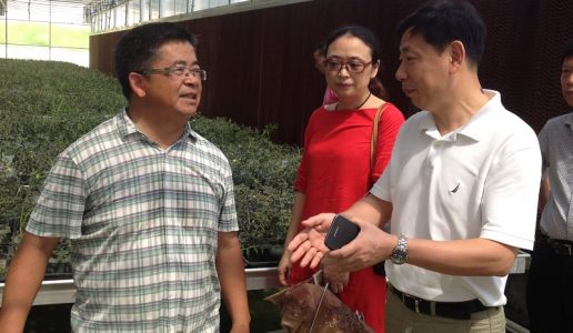 智慧都市农业课题组赴集美开展实地调研