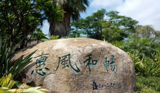 深入调研，为促进残疾人职业教育发展建言献策
