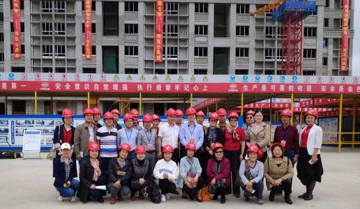 民盟市委组织视察调研保障性住房地铁社区工程