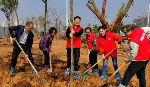 长林原是手中枝——民盟海沧基层委参加义务植树活动
