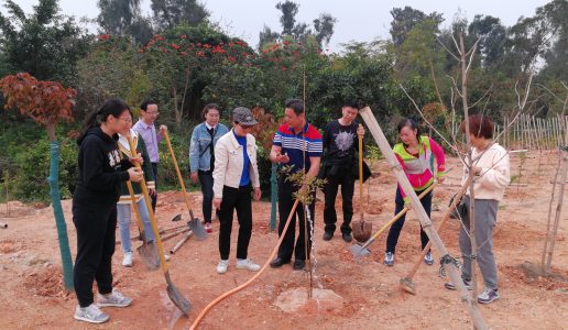 民盟市委机关前往大嶝田墘开展义务植树活动