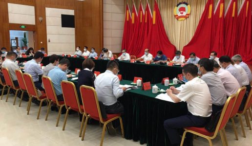 民盟界别参加市政协“我市重点招商项目落地推进情况”民主监督协商会并做口头发言