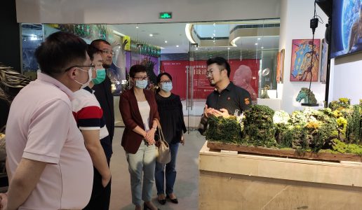 民盟市委强力推进招商引资工作