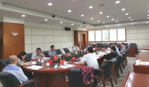 民盟界别参加市政协“乡村治理”界别协商座谈会