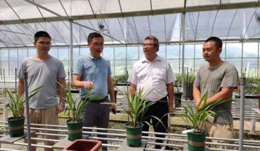 民盟职教支部课题组赴漳州考察调研乡村振兴工作