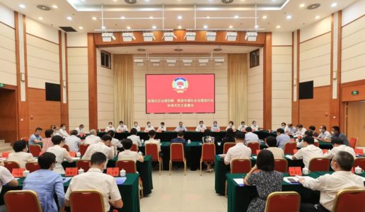 民盟市委会参加市政协“推进市域社会治理现代化”协商式民主监督会议并发言