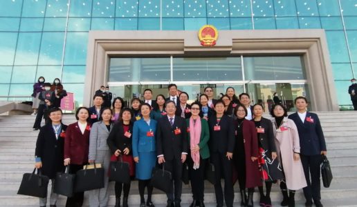 踔厉奋发献良策  笃行不怠谱新篇——厦门民盟履职2022年市人大、政协“两会”情况综述
