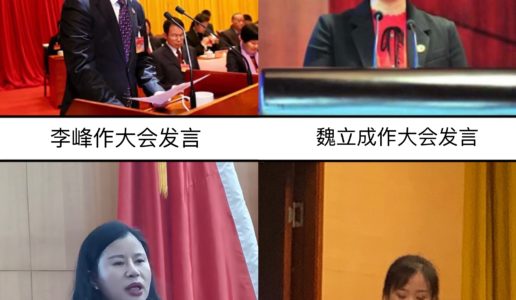 履职新征程 展现新作为——记厦门民盟各区代表、委员参加区“两会”综述