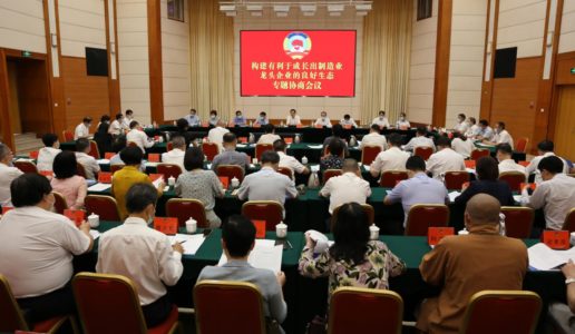 民盟市委会在市政协“构建有利于成长出制造业龙头企业的良好生态”专题协商会上发言