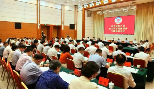 民盟市委参加市政协“培育特色产业，壮大农村集体经济”主席会议专题协商并做口头发言