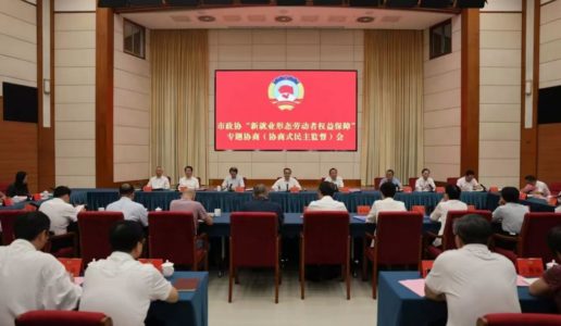 民盟界别参加市政协“新就业形态劳动者权益保障”协商式民主监督会议并作重点发言
